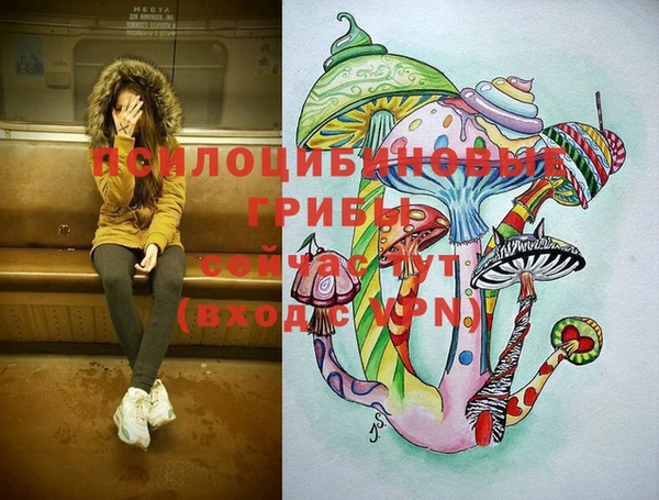 PSILOCYBIN Михайлов